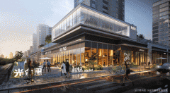 良多项目都只能做成两房